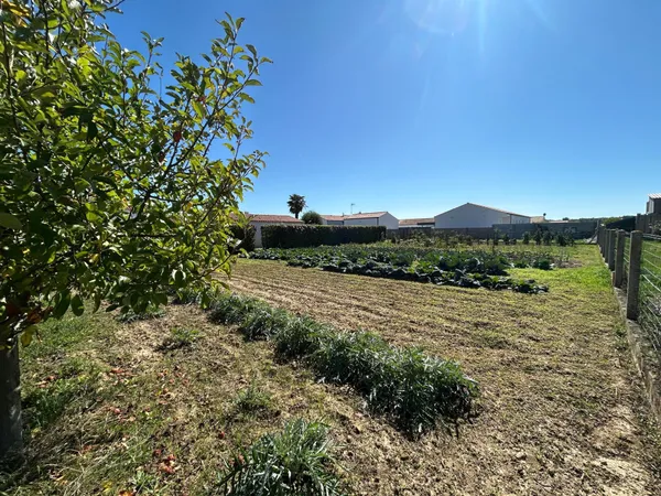 Terrain de 919 m2