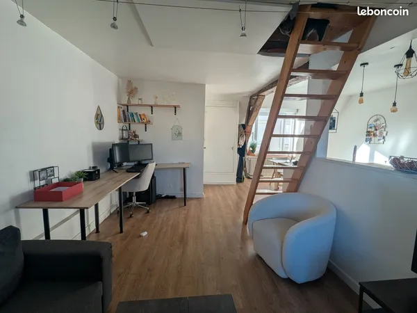 Appartement duplex T2 - La Doutre