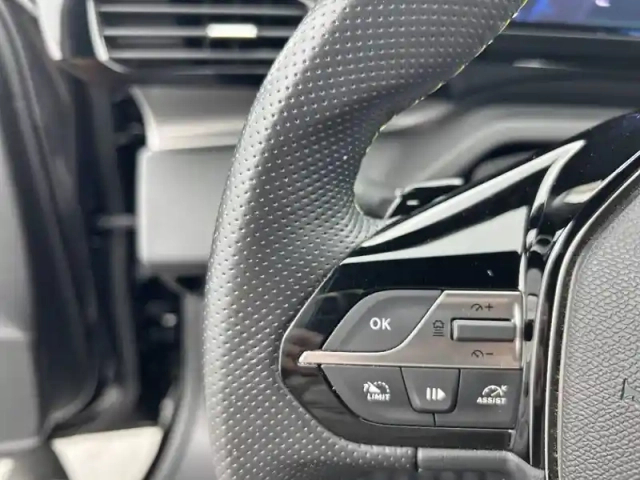 Peugeot 308 phev 180 e-eat8 — photo 49