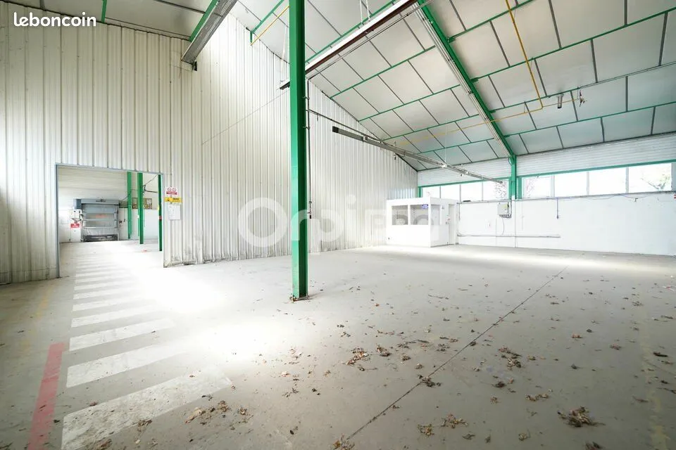 Photo 6