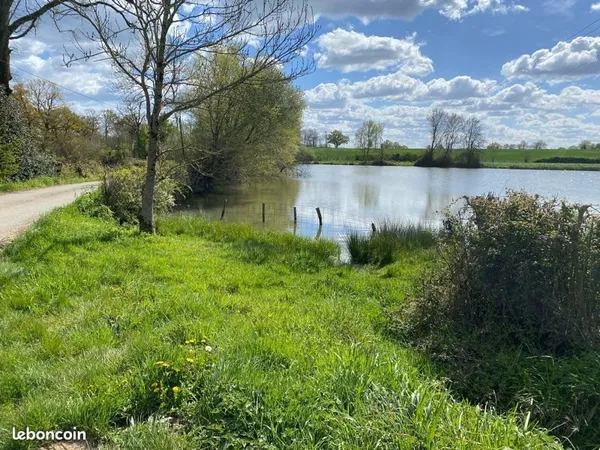 Plan d'eau Vente Availles-Limouzine  22190m² 35000€