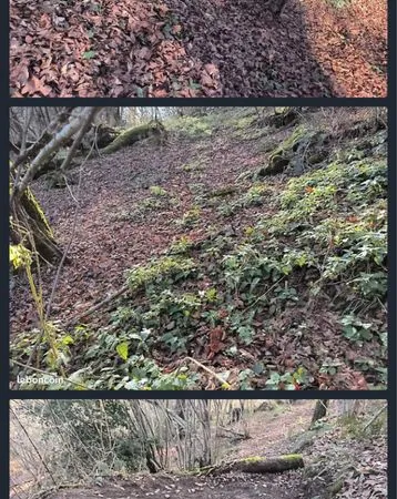Terrain atypique en montagne 3400 m², 883 m d'altitude, source potable non loin, grand calme, bonne 