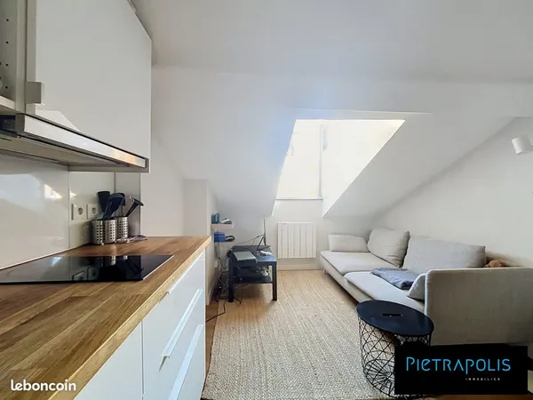 Appartement 1 pièce 19 m²