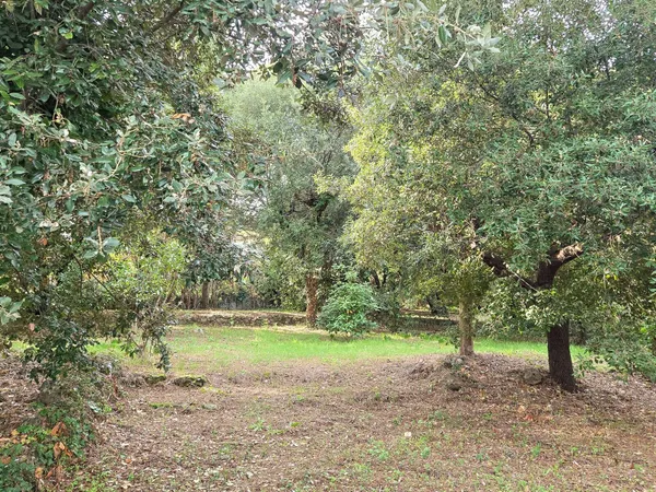 Terrain 2000 m²