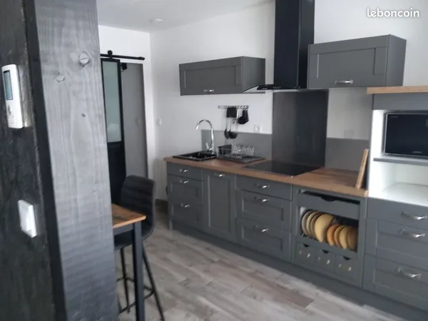 Appartement meublé 50 m² type indus