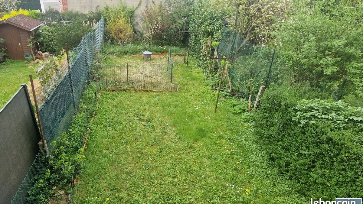 Photo 2