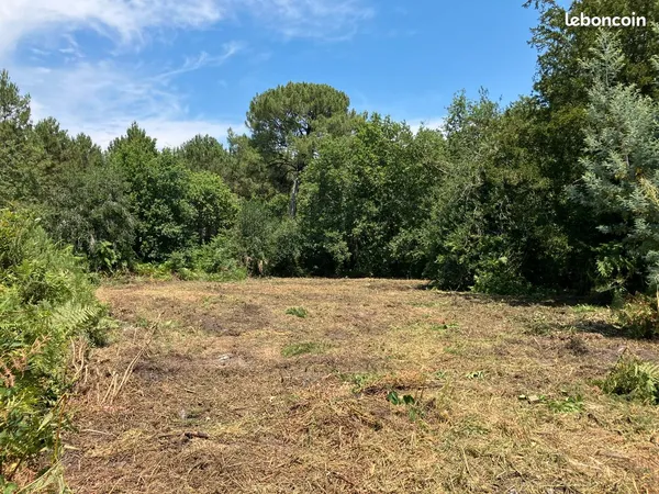 Grand terrain niveau pessac gazinet avec permis