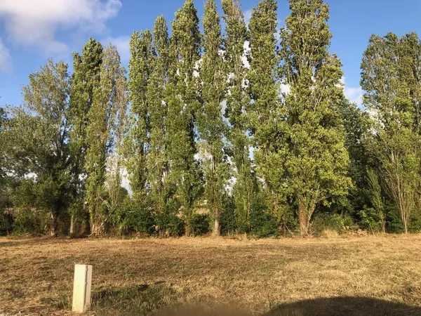 SAINT-PALAIS-SUR-MER - Terrain constructible viabilisé de 467 m²