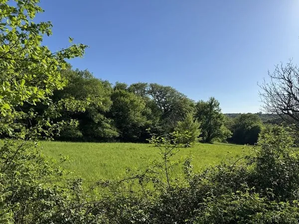 Terrain 5500 m²