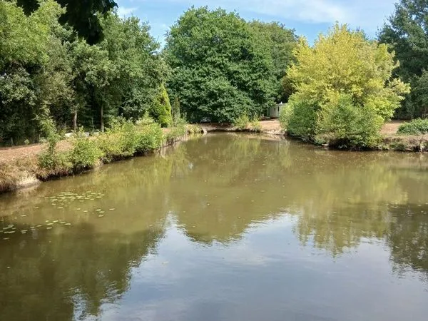 Plan d'eau Vente Pleugueneuc  1200m² 40000€