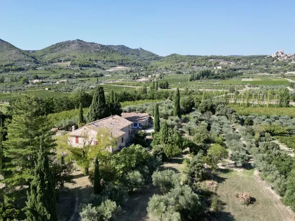 Exclusivité - Propriété en position dominante