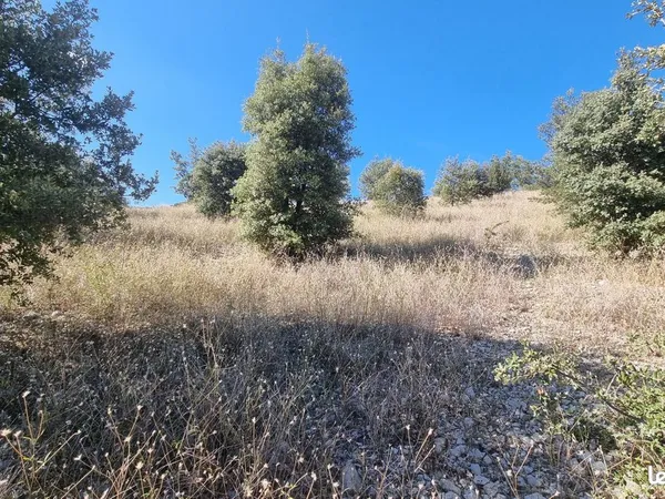 Terrain agricole, source, truffiers, abri de jardin
