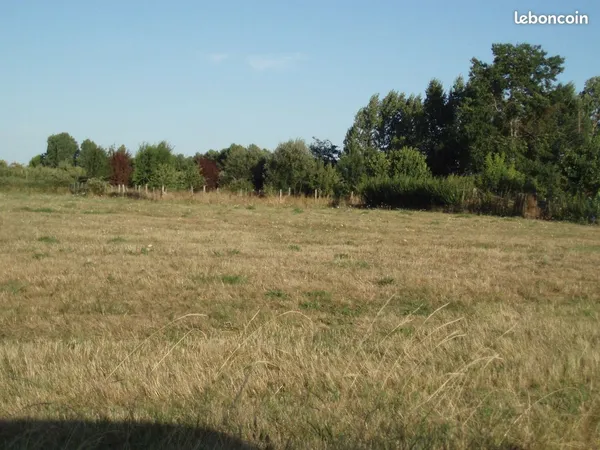 Terrain agricole