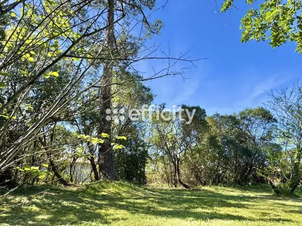 Terrain 1000 m²