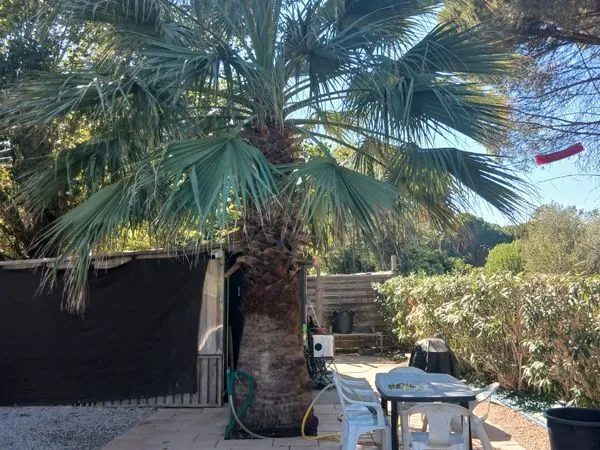 Terrain a vendre