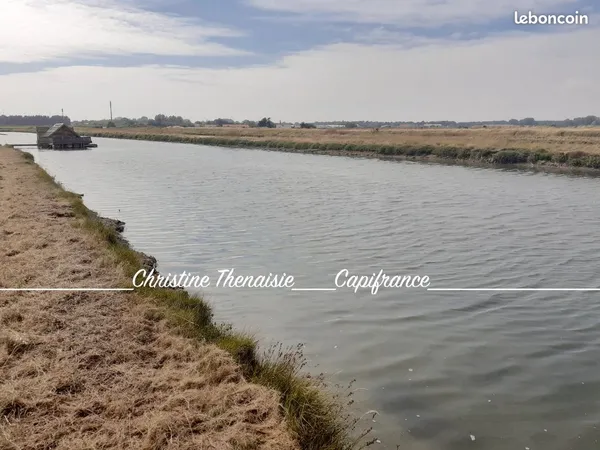 Terrain 8 530 m² Saint Hilaire De Riez