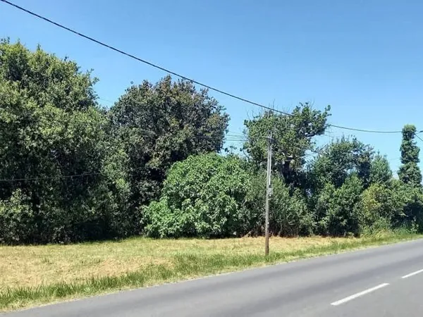Terrain 1259 m²