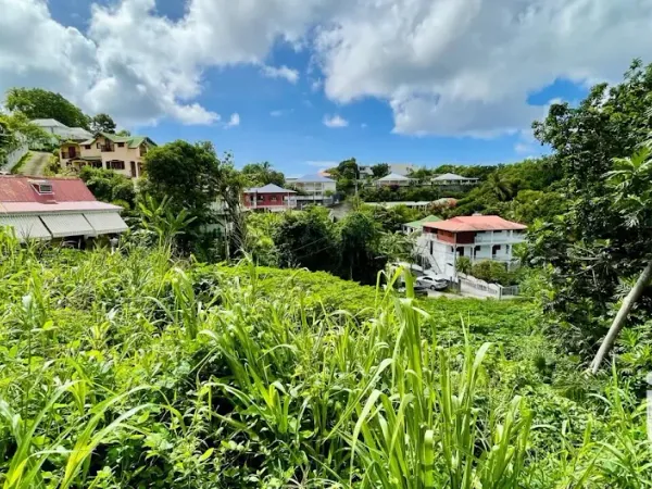 Terrain 703 m²