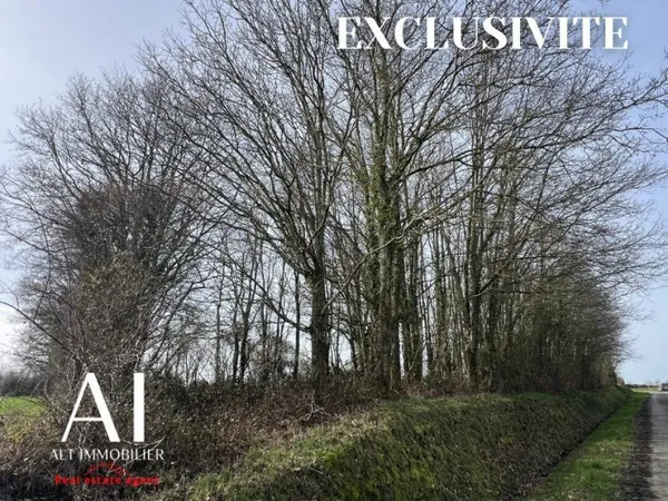 Terrain 1360 m² Putanges-le-Lac