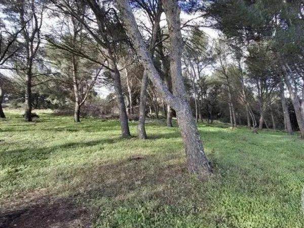 Terrain agricole