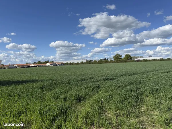 Entre CHOLET et BRESSUIRE terrains viabilisés proche commerces de MAULEON