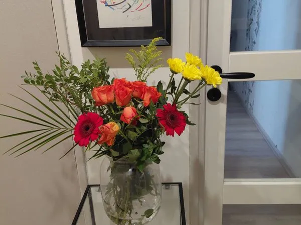 Appartement a vendre