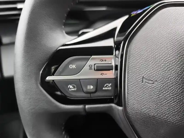 Peugeot 308 phev 180 e-eat8 allure — photo 19
