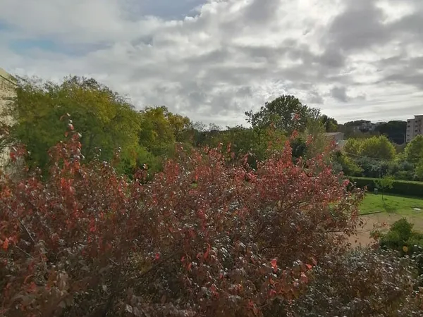 Montpellier - Les Aubes - 3 pièce(s) - 70 m²