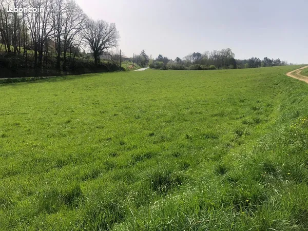 Terrain de près d'1 hectare - eau, électricité et accès route