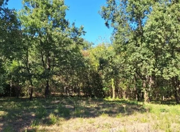 Terrain 850 m²