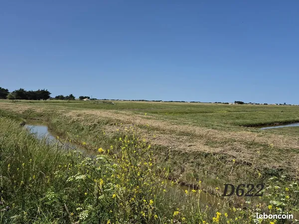 Vente | Terrain | 2535 m² | BEAUVOIR SUR MER
