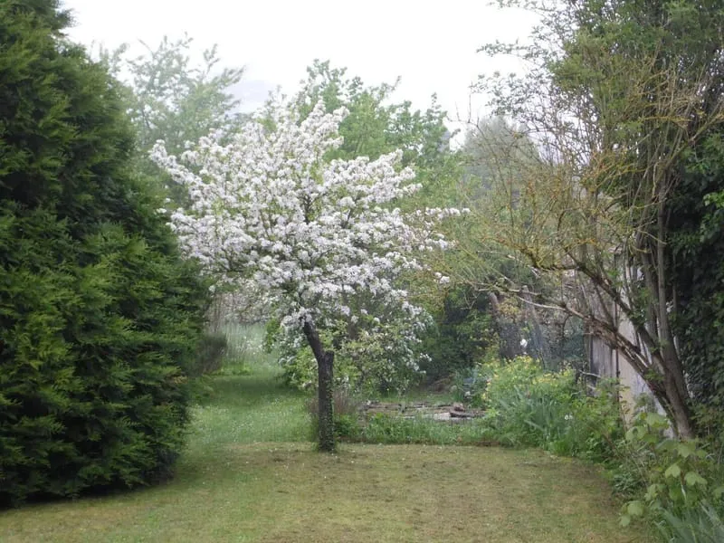 Photo 4