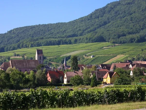 Très belle parcelle 525 m²