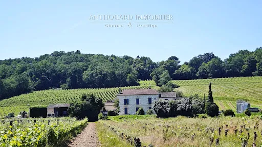Vignoble 790000 m²