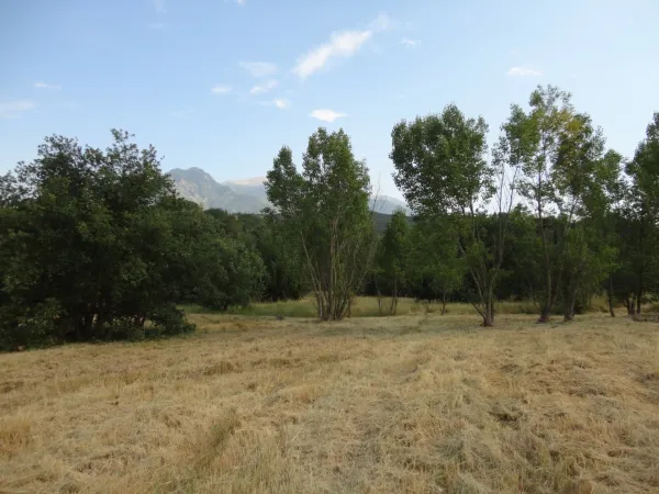 Terrain 468 m²