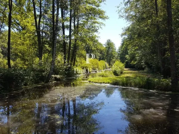 Propriété hébergements et chasse Argent sur Sauldre 835 m2 sur 100 hectares
