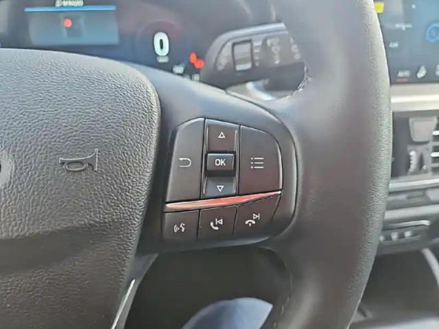 Ford Focus 1.5 ecoblue 115ch titanium x business bva8 — photo 21