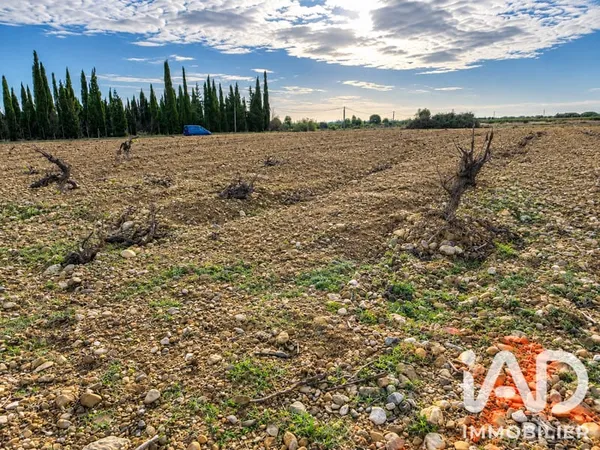 Terrain 9550 m²
