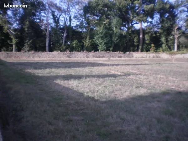 Terrain constructible