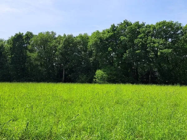 Terrain 4919 m²