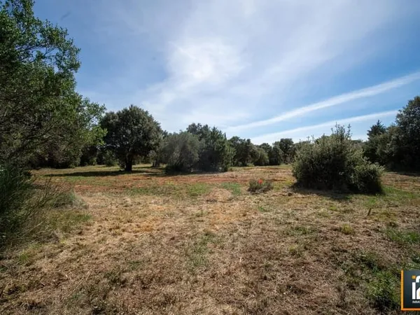 Terrain à vendre Saint-Siffret