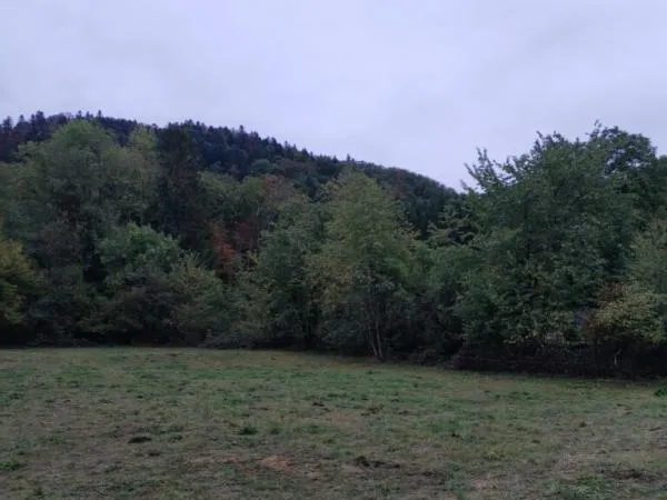 70270-TERNUAY-MELAY ET SAINT HILAIRE Parcelle de terrain constructible d'une contenance de 13a 29 ca