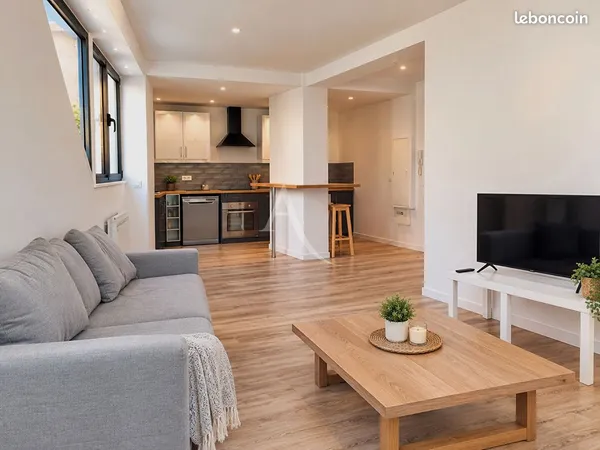 Loft 2 pièces 53 m²