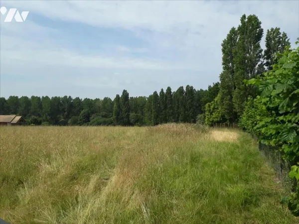 Terrain 1291 m²