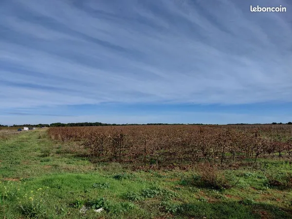 Terrain 37281 m² Vauvert