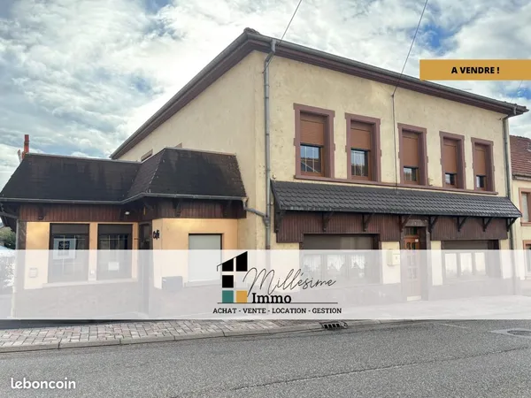 Maison 11 pièces 466 m²