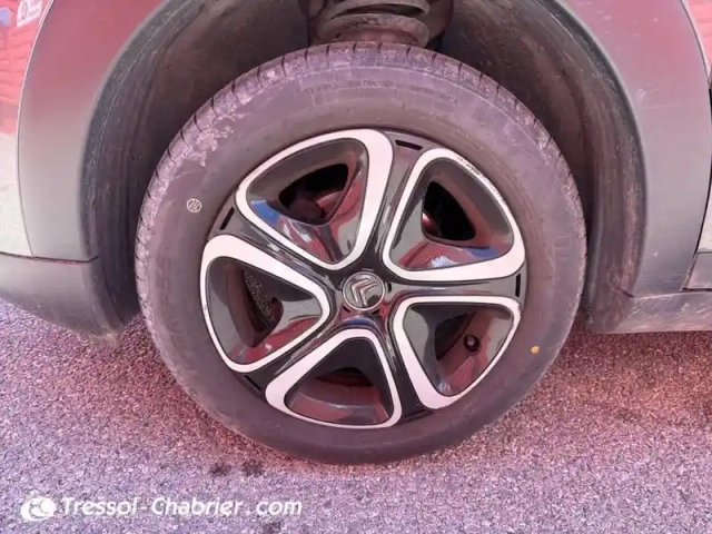 Citroën C4 cactus bluehdi 100 s&amp;s bvm6 shine — photo 22
