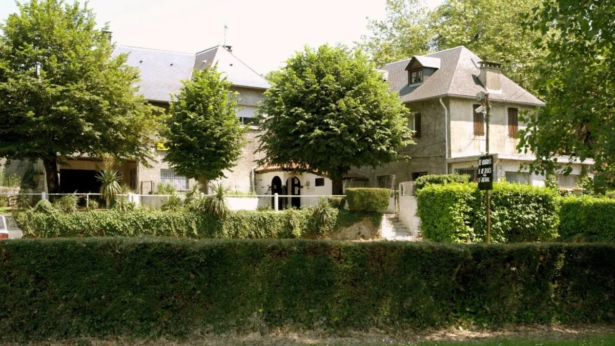 Photo 6