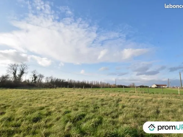Terrain 1 715 m² Chemilly Sur Yonne