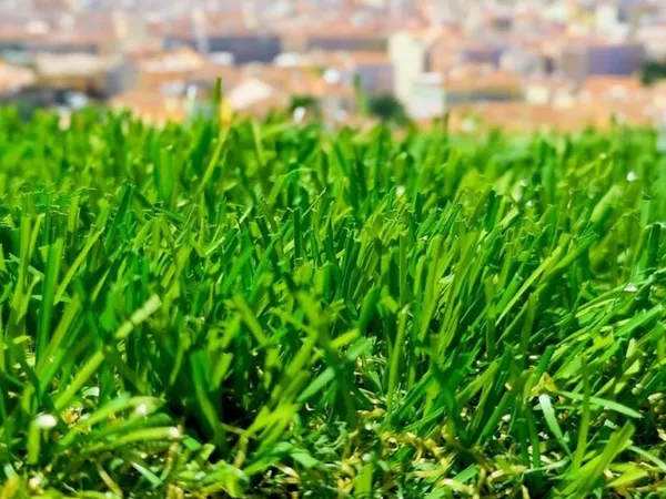 Terrain 217 m²